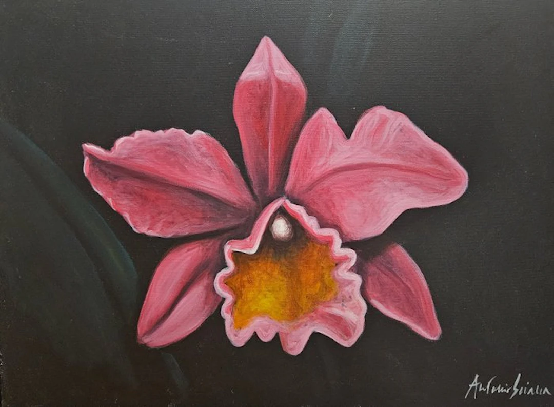 Antonio Sciacca (1957) - Orchidea