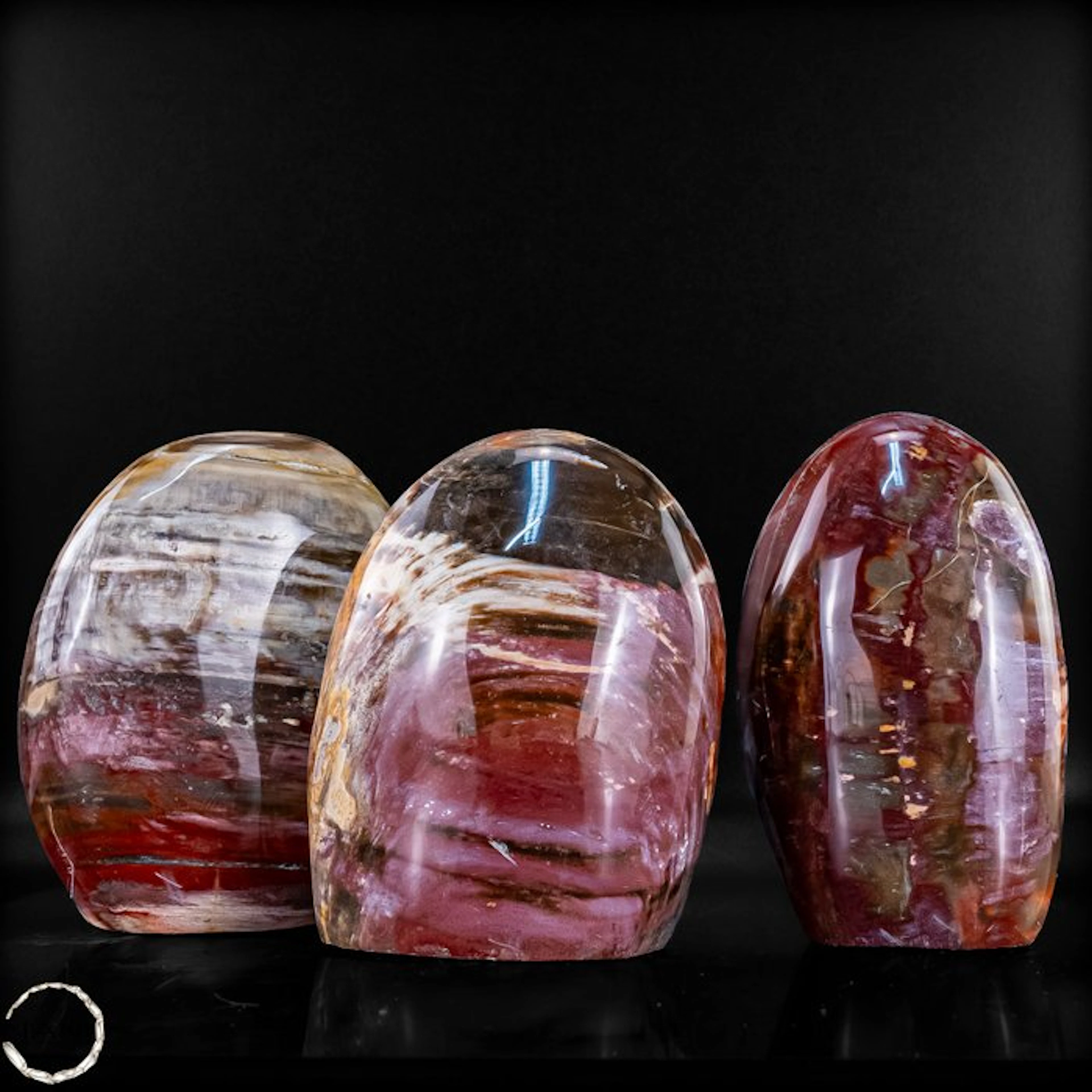 Natural petrified wood set from Madagascar – Millions of...