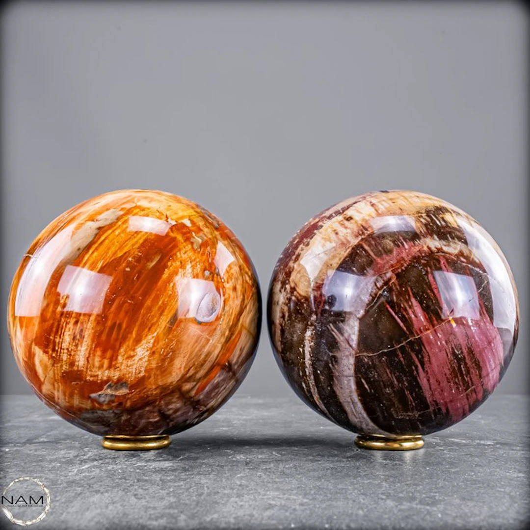 Fossilized wood ball set – two fascinating natural stone...