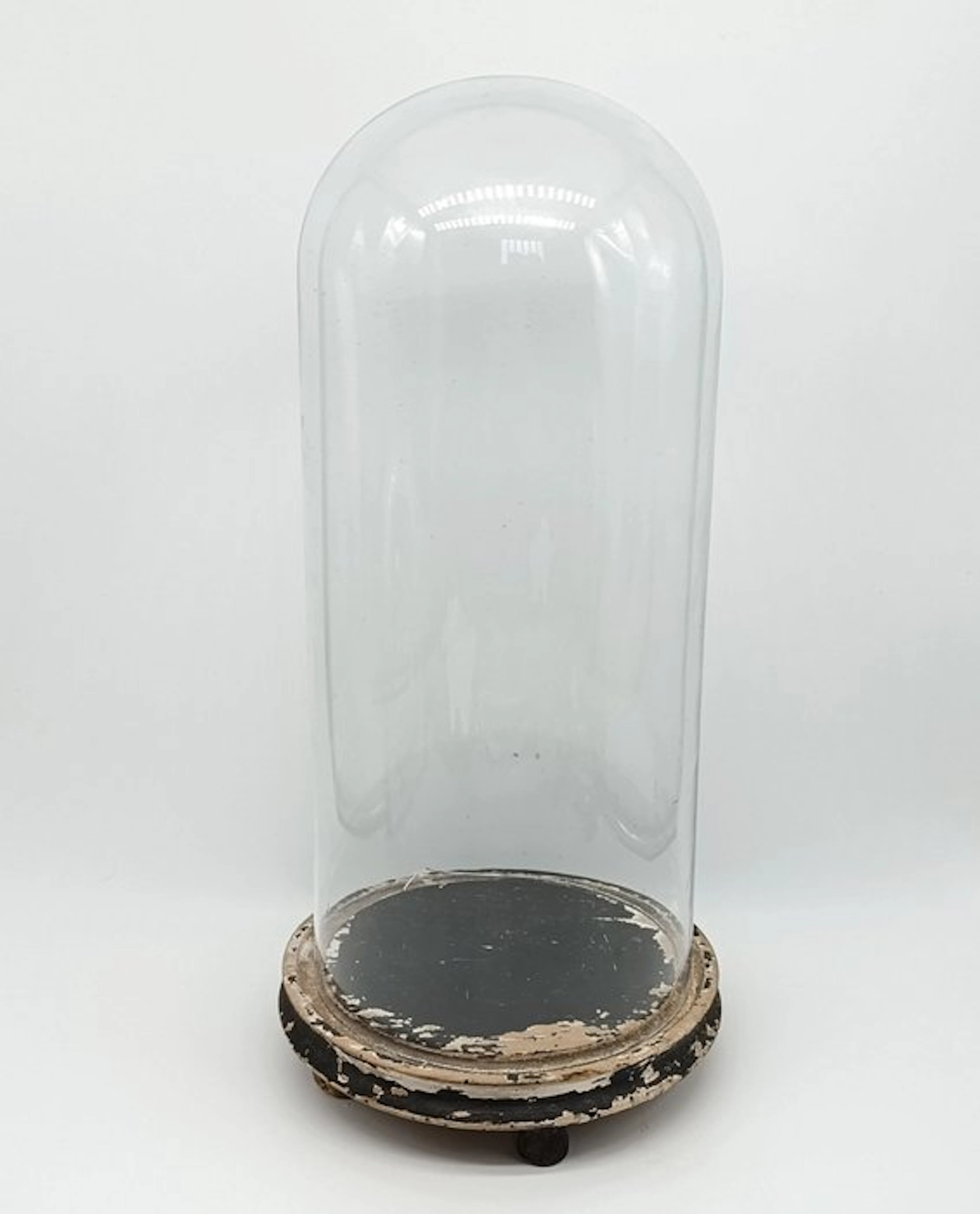 Bell jar - Wood, Glass - 1850-1900 - domed display case