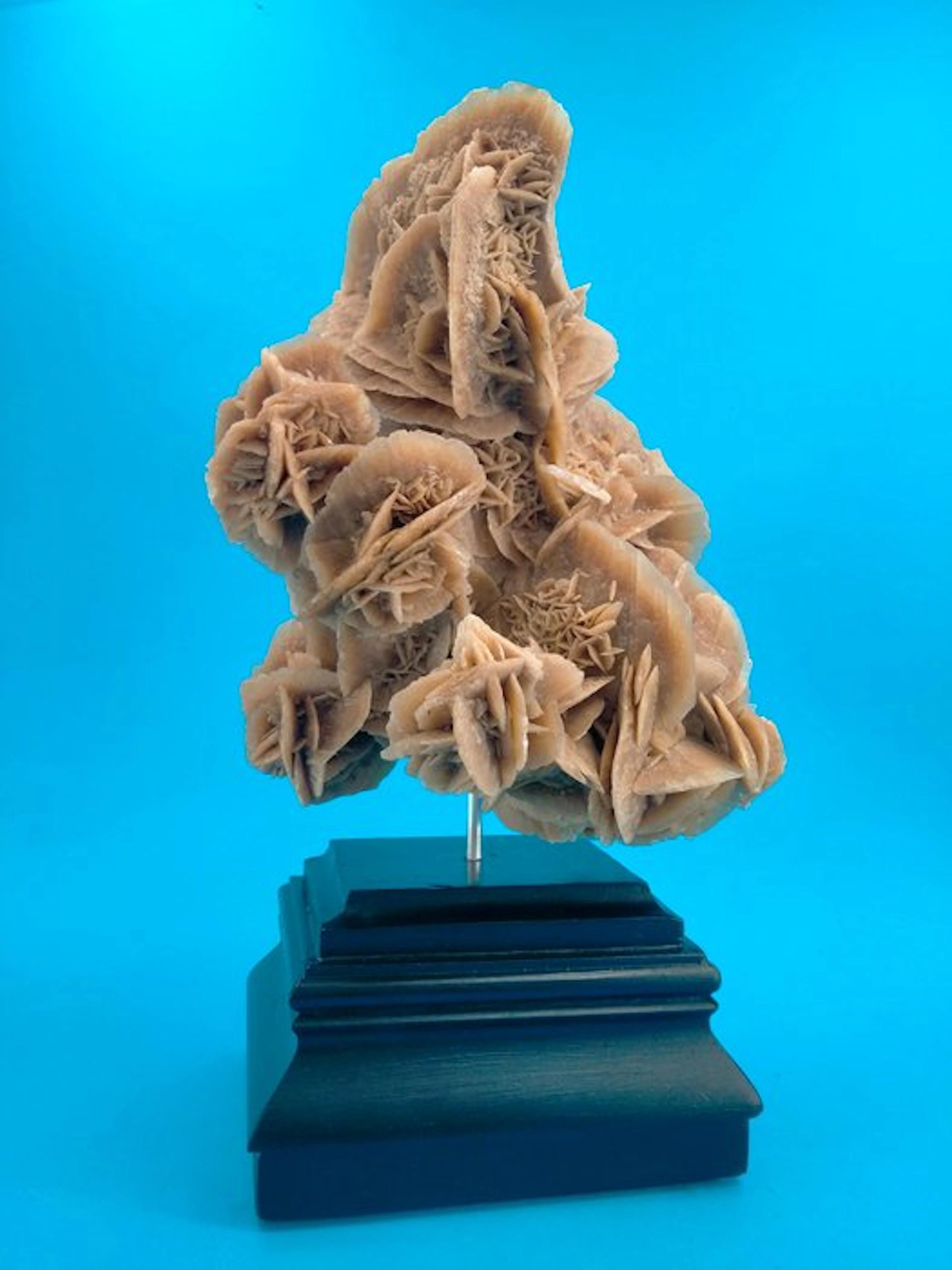 Exceptional Desert Rose on Ebonized Base – Natural...