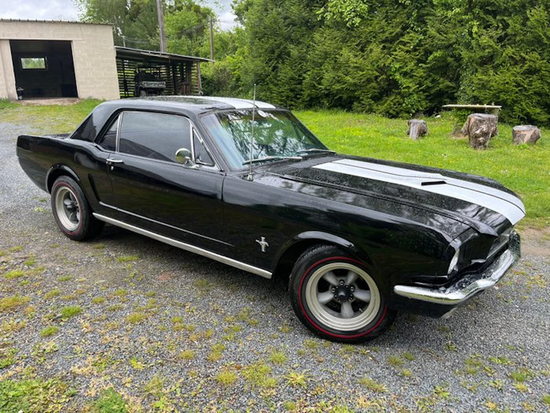 Ford - Mustang V8 289 (4.7L) - 1966