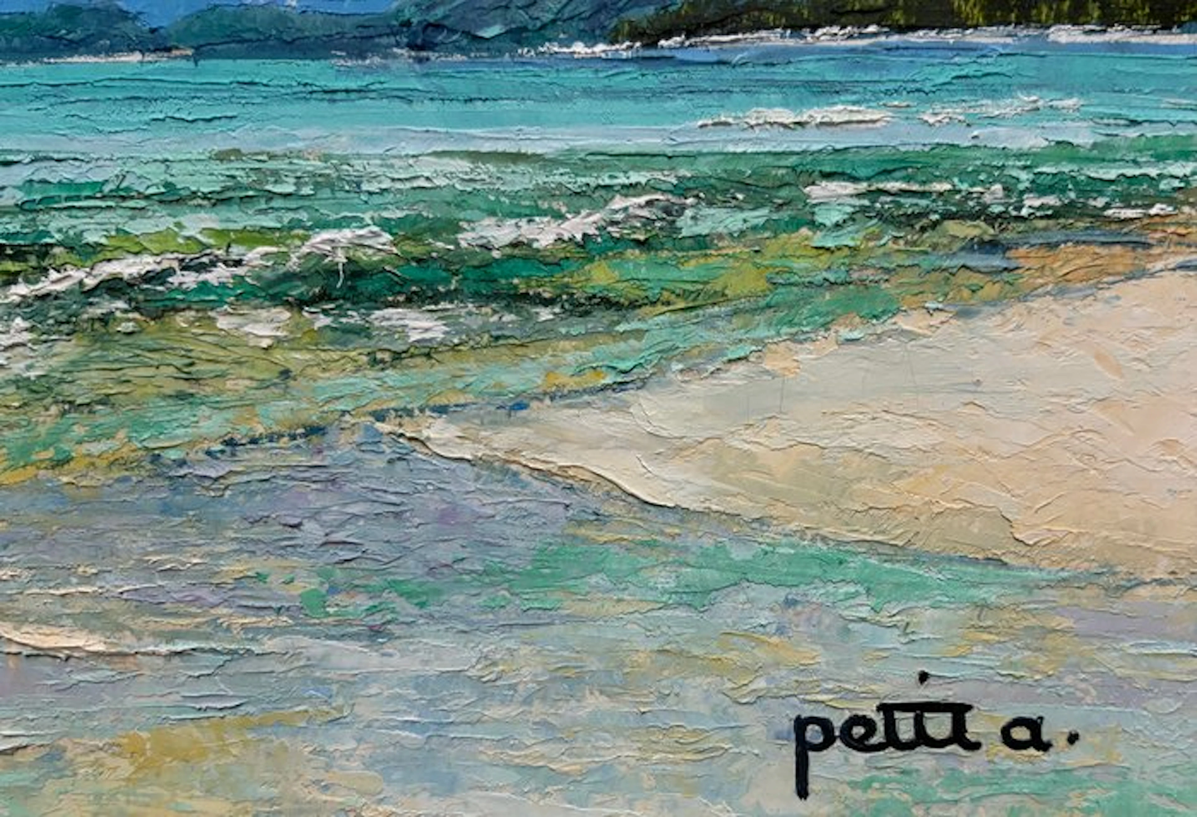 Annie Petit - Les îles Mascareignes