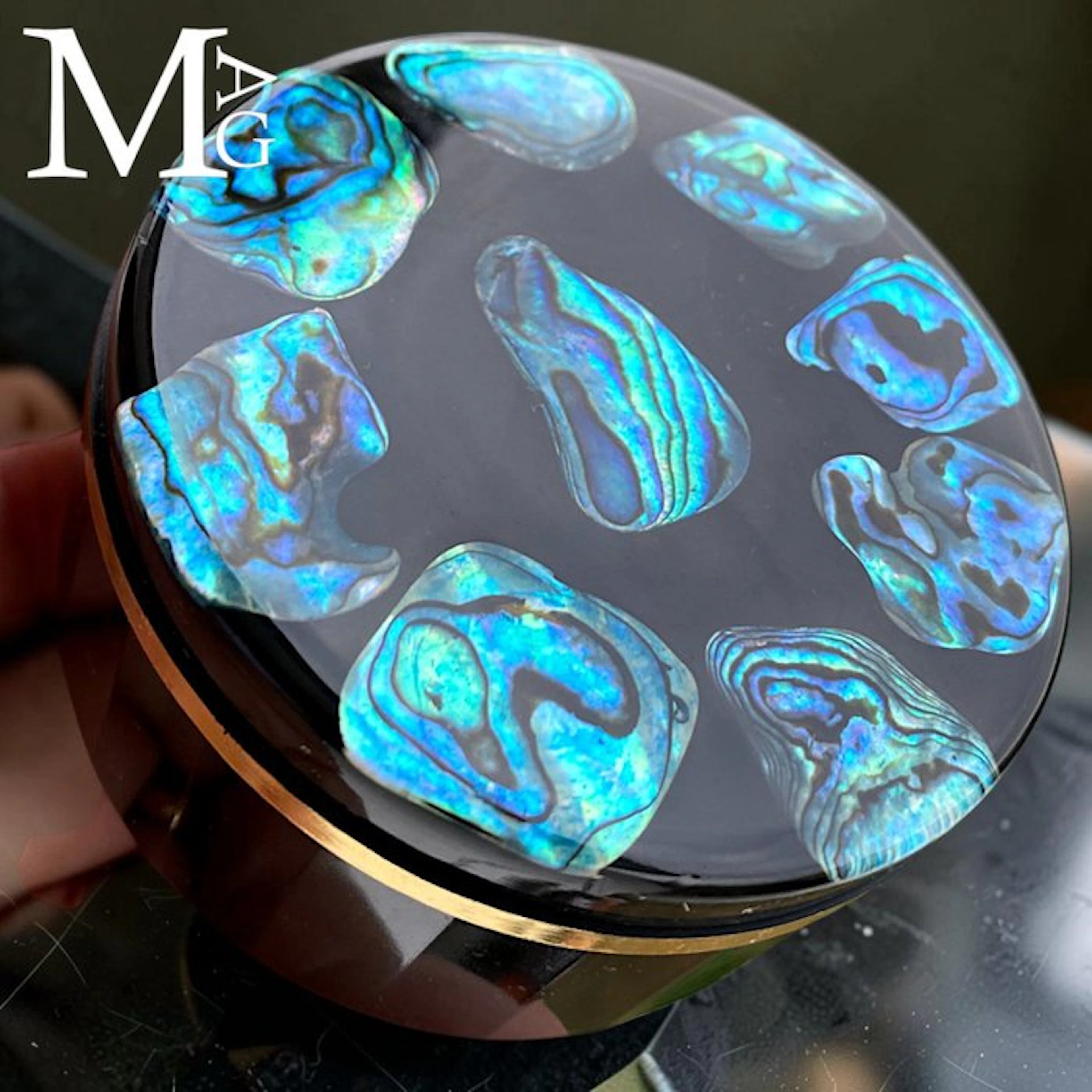 Paua Shells - Abalone - Intaglio Paua Shell...