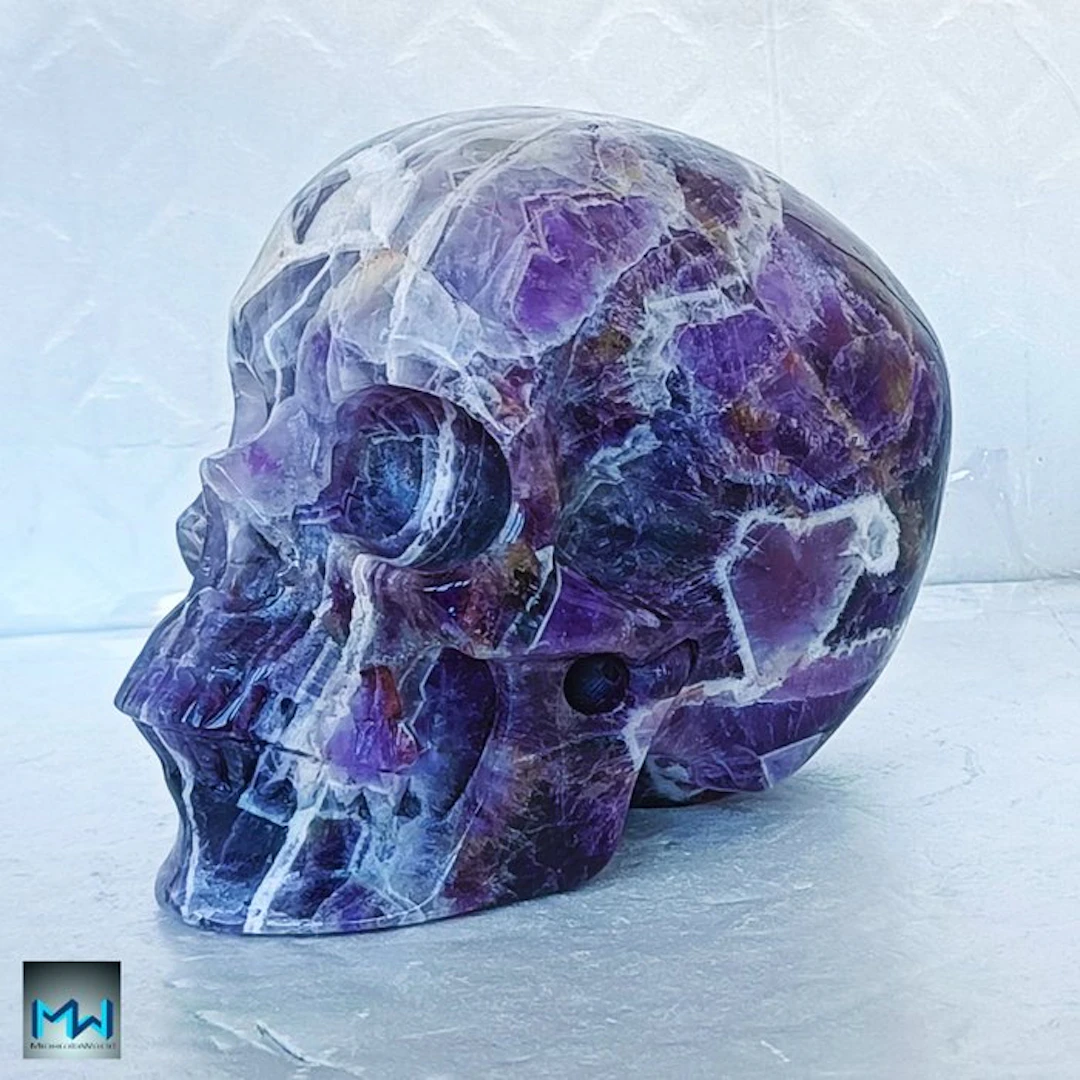 Human Skull