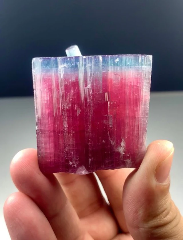 Bicolour rubilite tourmaline Crystal - Height: 45 mm - Width: 43 mm-