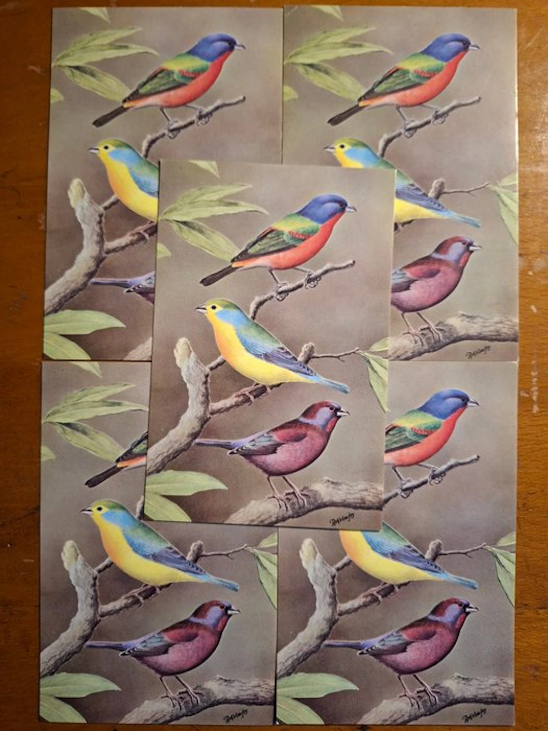 Belgium - Animals - Vogelwered - Postcard (167) - 1950-1960