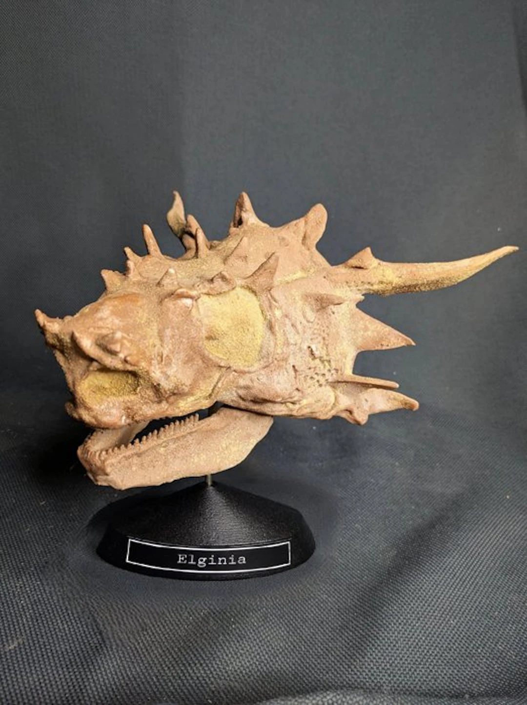 Fossil skull - Elginia - Museum-Grade Replica - 19 cm - 20 cm (No