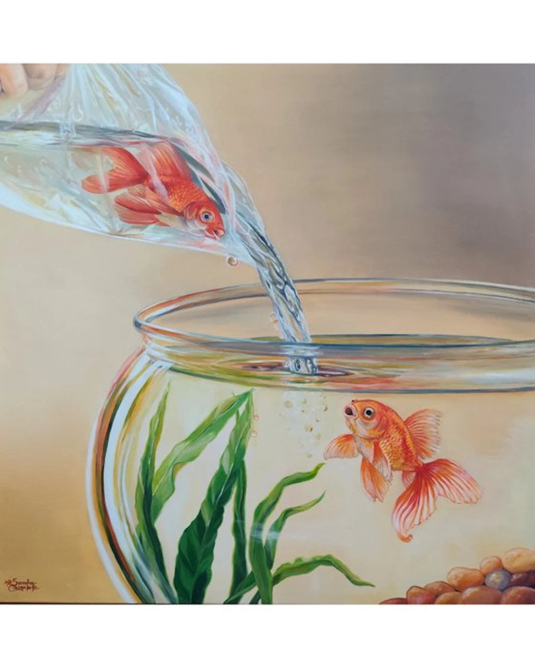 Sandra Chinelate - SAFE WATERS