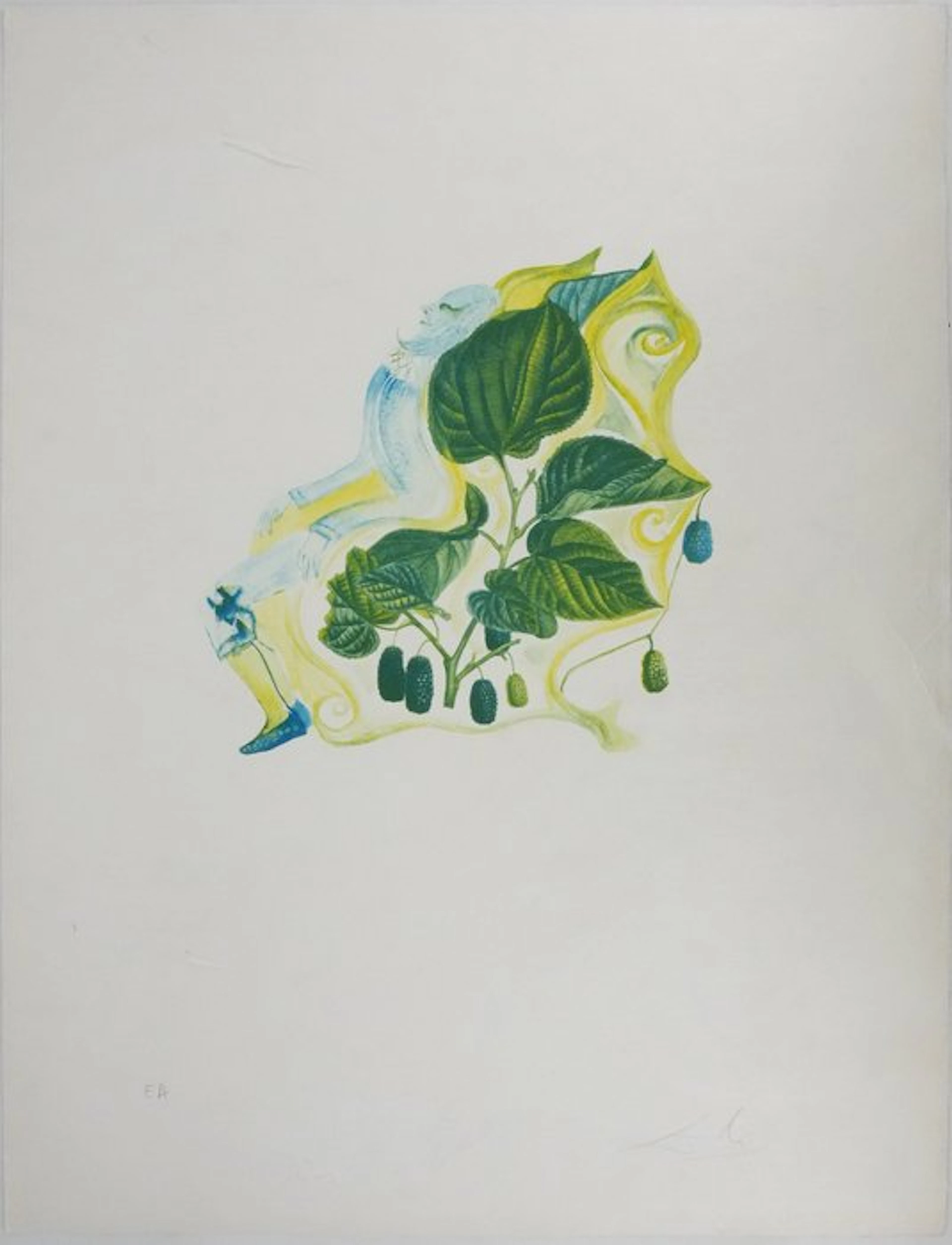 Salvador Dali (1904-1989) - Flordali : Mûres sauvages