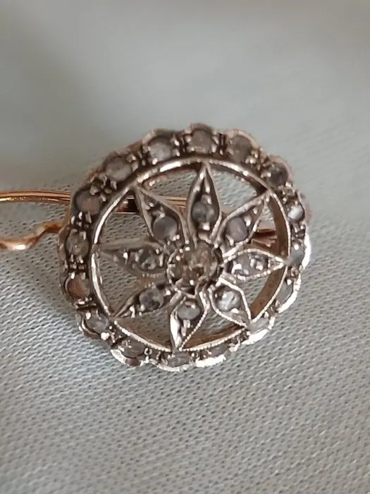 Earrings - 14 kt. Rose gold, Silver Diamond (Natural) - Diamond