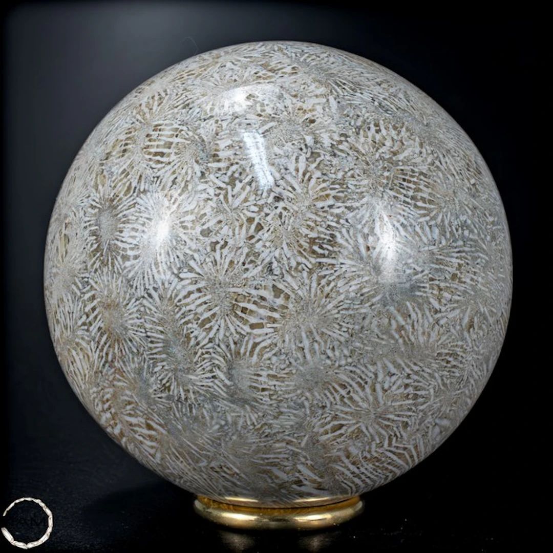 Natural AA+++ Fossil Goniopora-Coral Sphere, Australia, 7328.25 ct- 1465.65 g