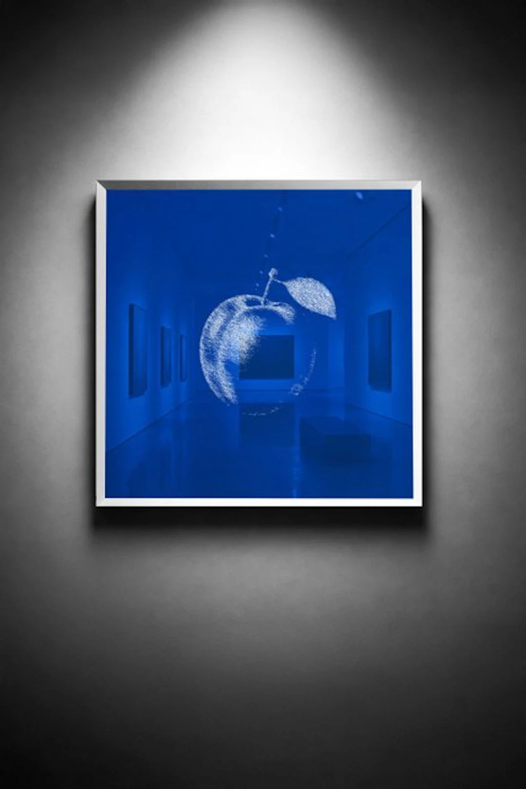 Tijs Dragtsma (1992) - A Plum Held in Blue