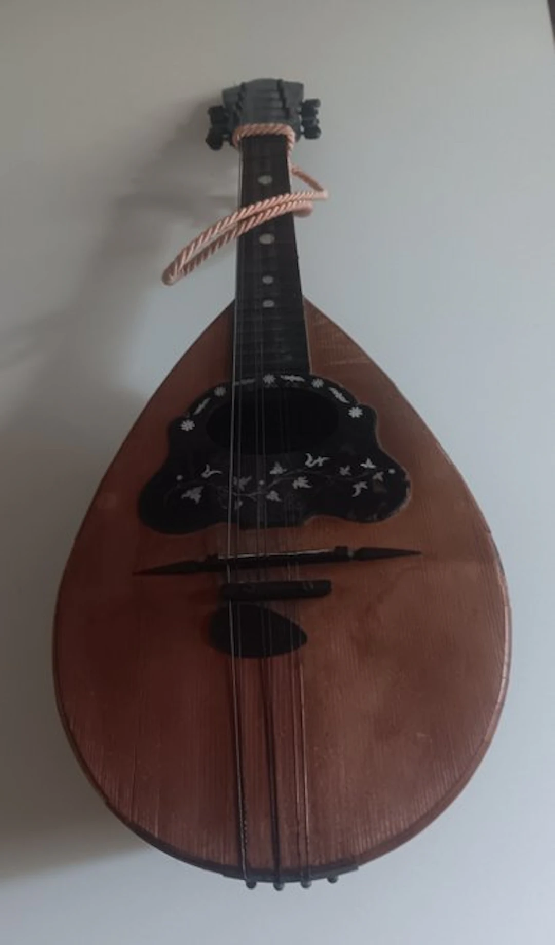 A. Monzino - - Mandolin - Italy - 1900 (No reserve price)