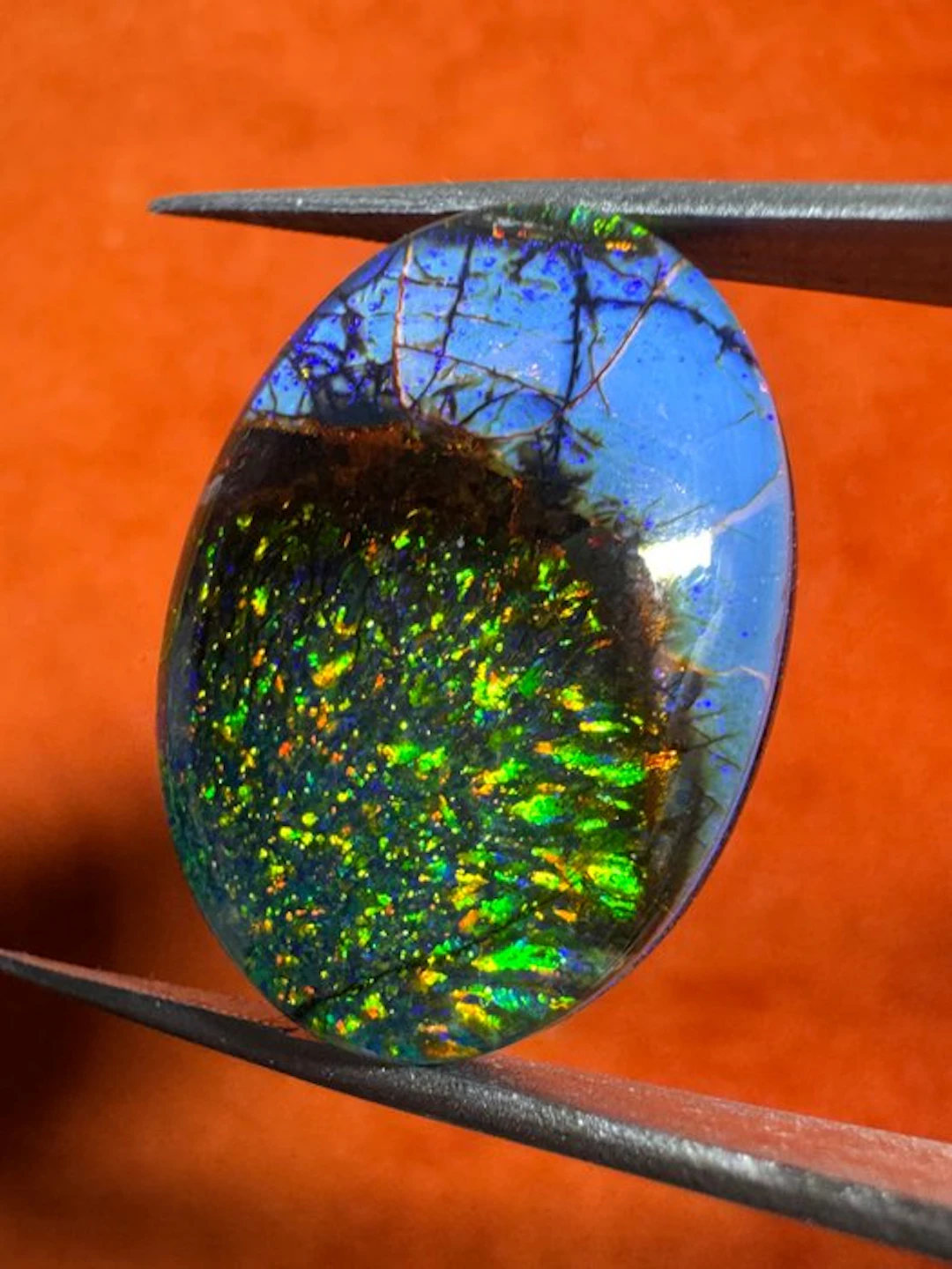 Monarch opal cabochon doublet - 21.05 carats. No reserve! Oval cabochon- 4.21 g