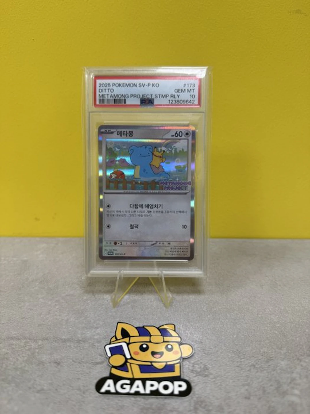 Pokémon - 1 Graded card - Pokémon - PSA 10 – Ditto...