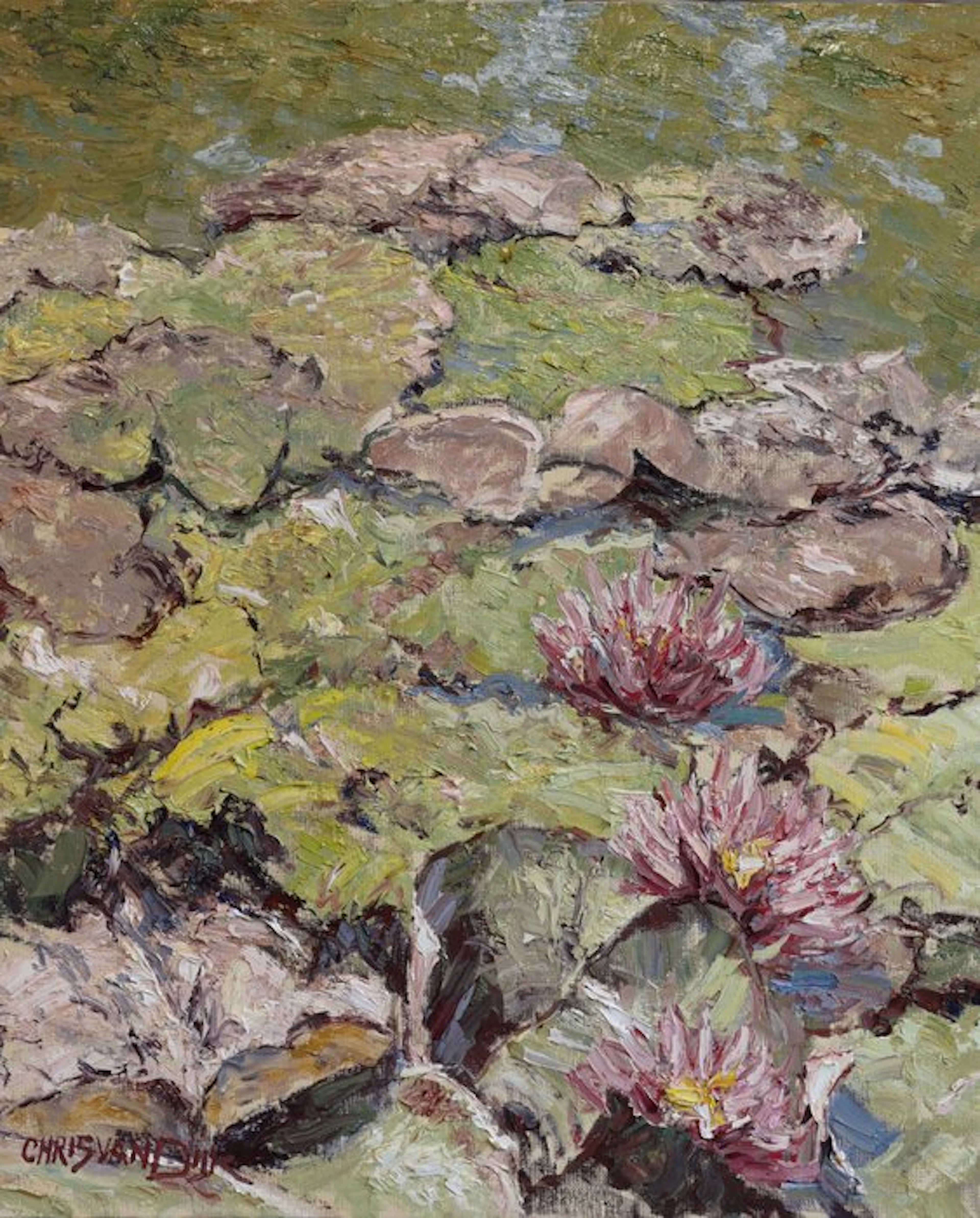 Chris van Dijk (1952) Impressionist - " Les nénuphars vus de près "