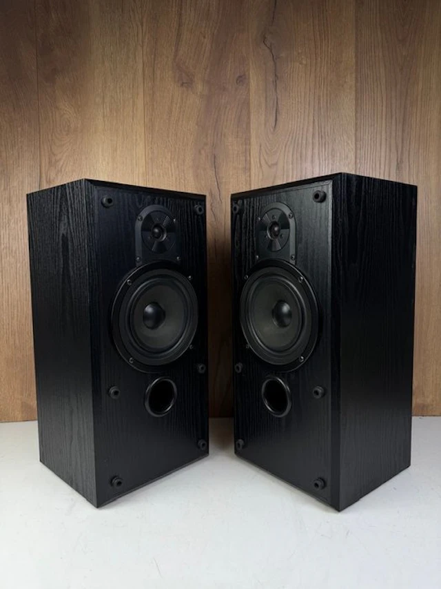 Bower & Wilkins - DS2 Speaker set