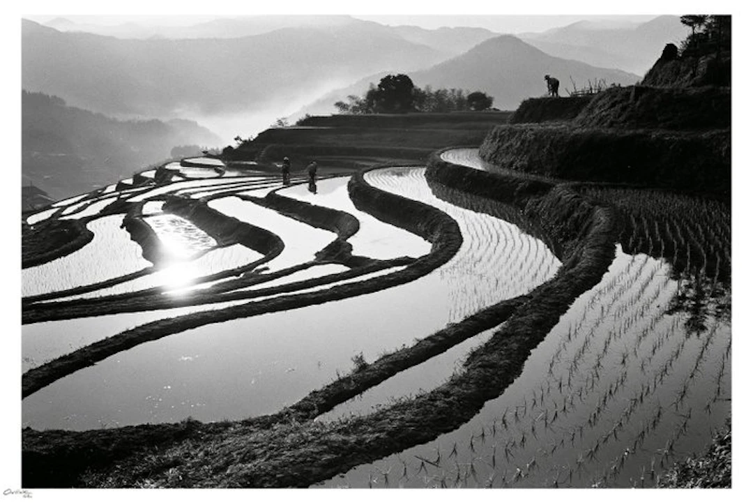 ONIINK - PHOTO - Terraces Of Still Water - ( Limited Edition )