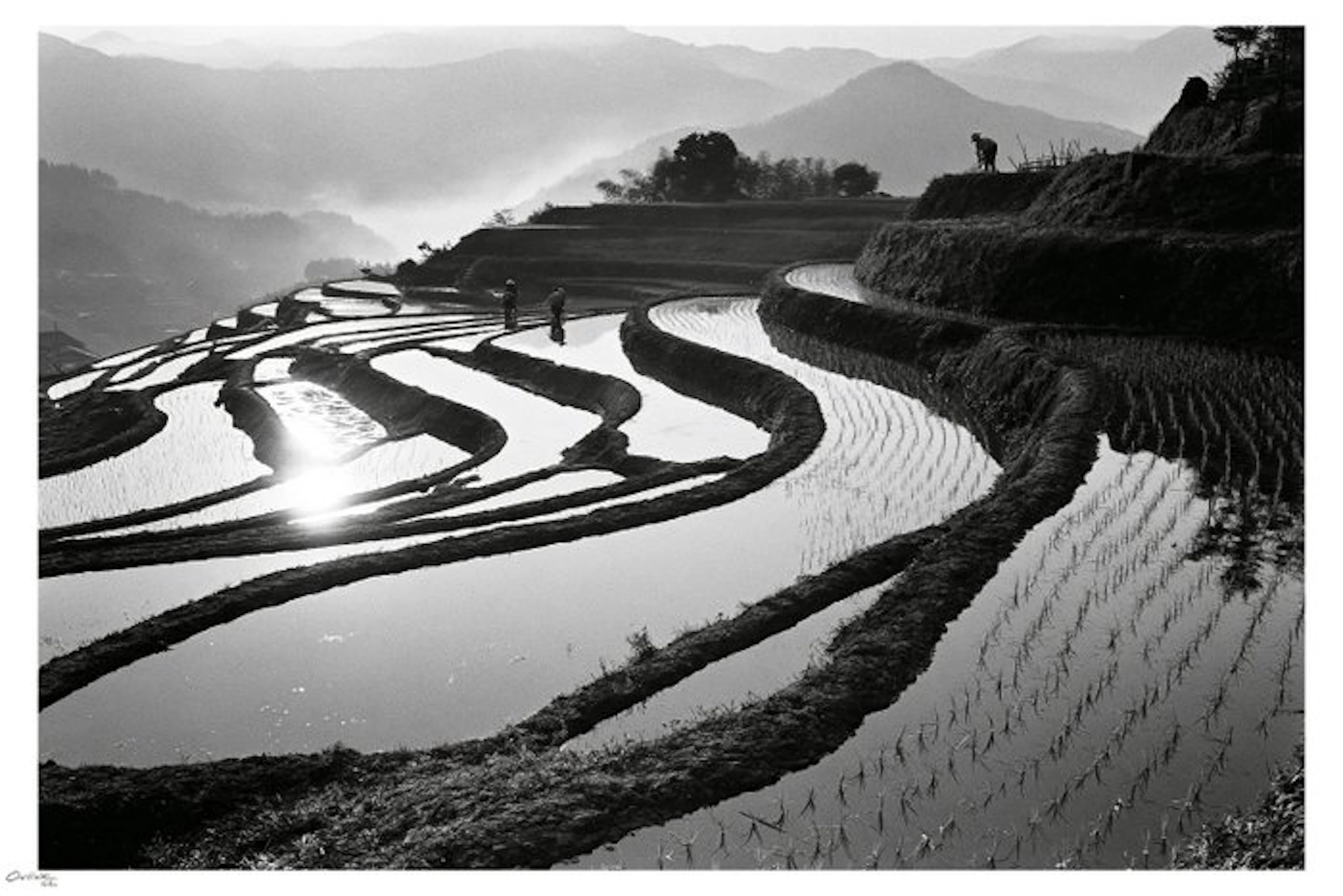 ONIINK - PHOTO - Terraces Of Still Water - ( Limited Edition )
