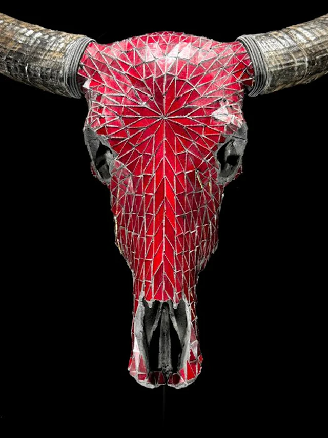 NO RESERVE PRICE - Authentic Large Buffalo Skull with...