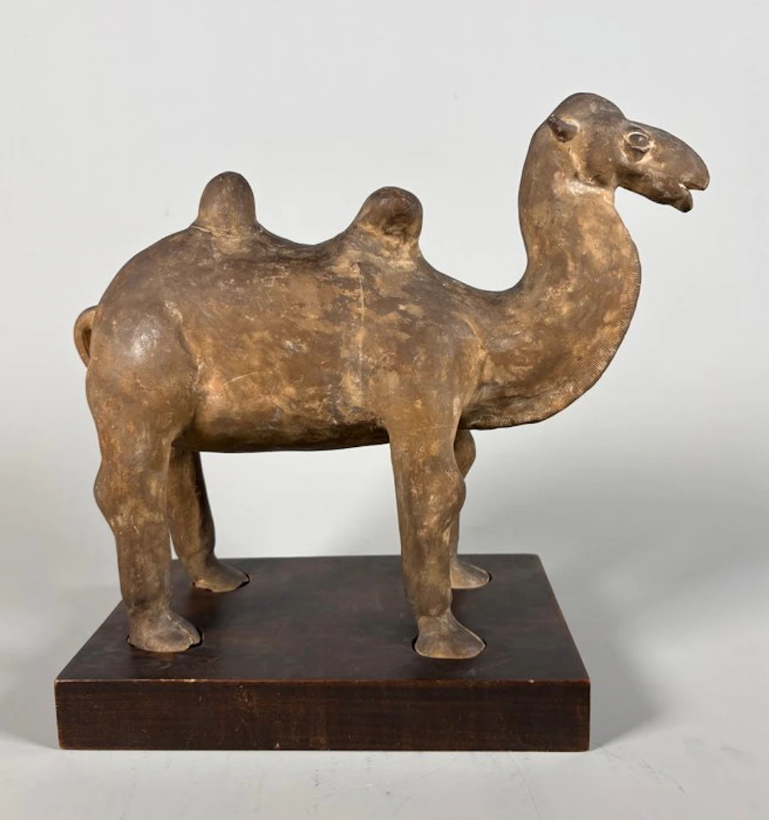 Ancient Chinese, Tang Dynasty Terracotta Camel - 33 cm