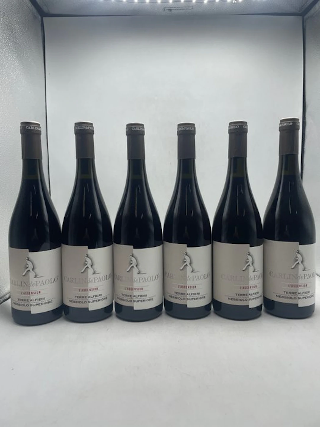2023 Carlin De Paolo Nebbiolo Terre Alfieri - Piedmont - 6 Bottles (0.75L)
