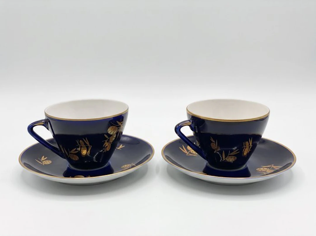 Lomonosov Imperial Porcelain Factory - Cup and saucer (2)...
