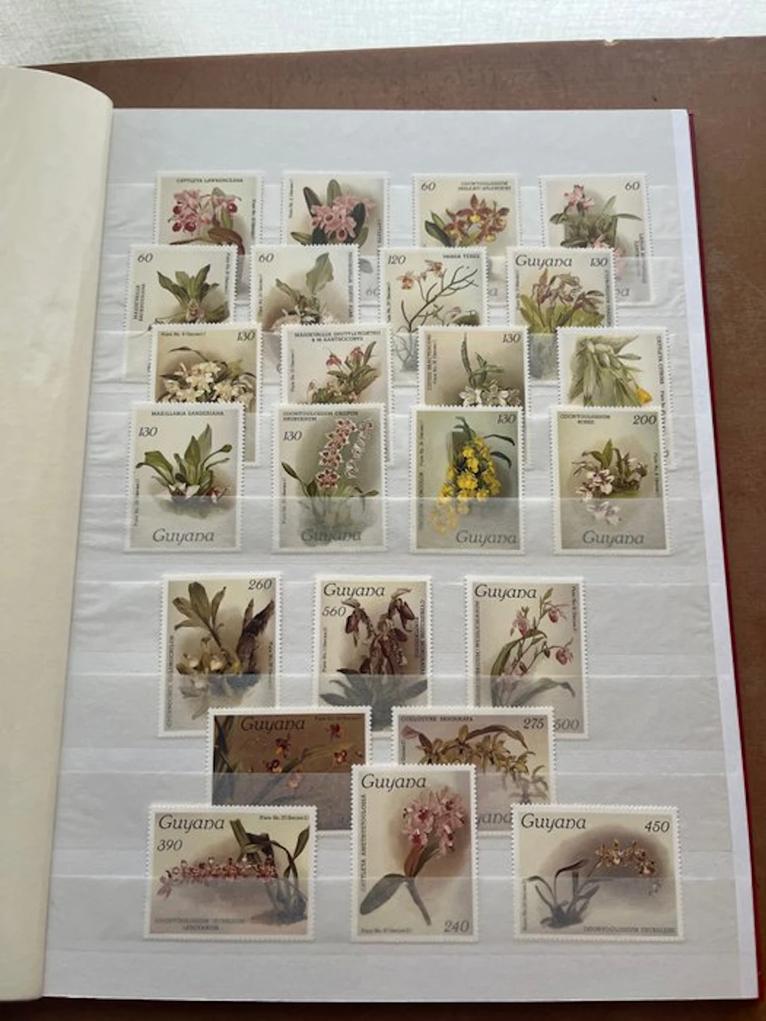 Floral motif 1985/1990 - Orchids, mainly Guynana