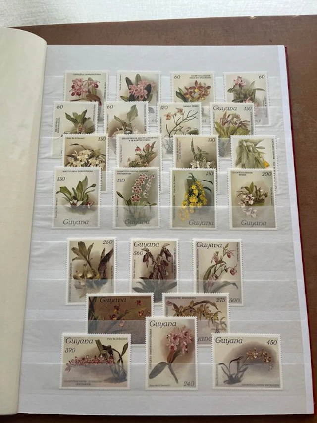 Floral motif 1985/1990 - Orchids, mainly Guynana