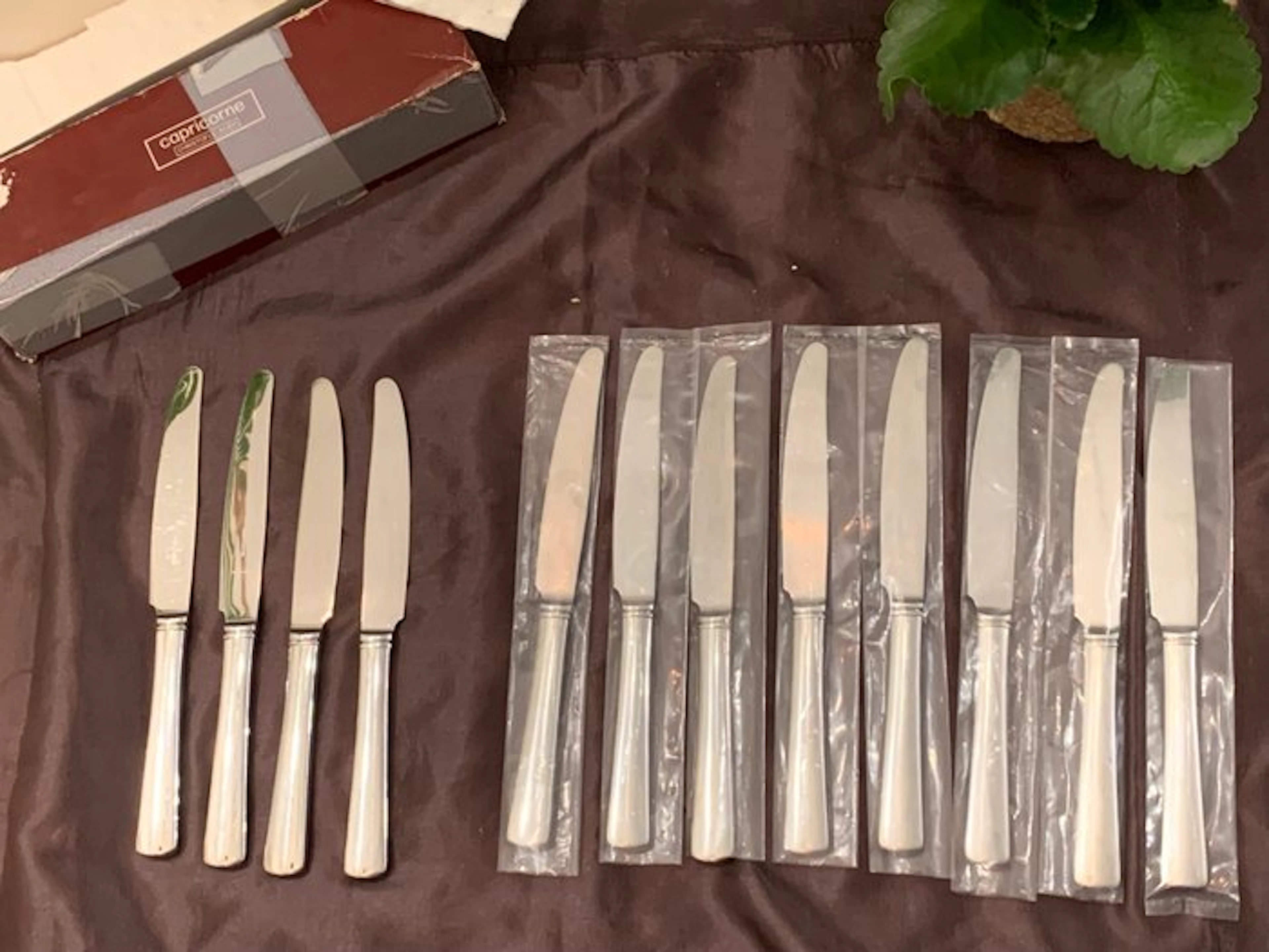 Christofle, - Capricorne - Table knife set (12) - Capricorne Monobloc - Steel