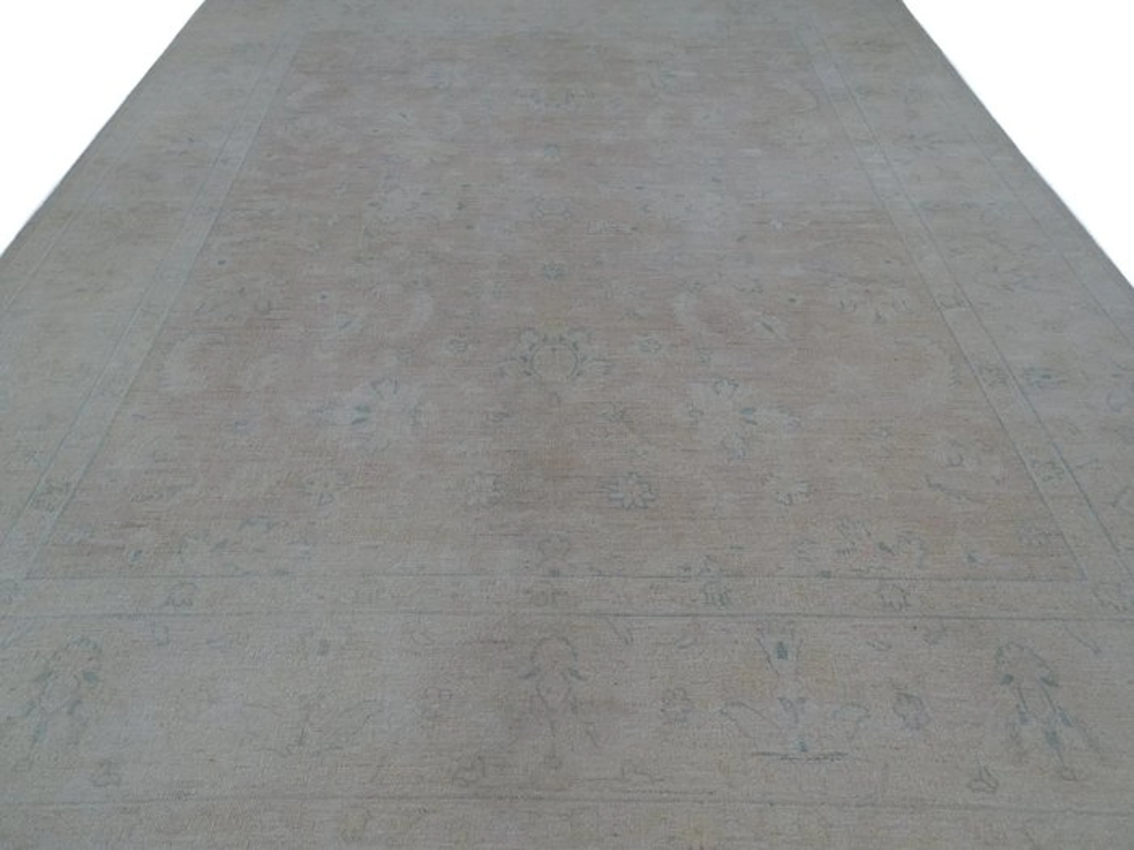 Ziegler - New & Unused - Rug - 306 cm - 248 cm