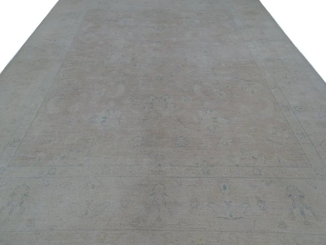 Ziegler - New & Unused - Rug - 306 cm - 248 cm