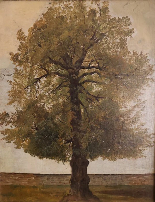 Carl von Häberlin (1832-1911), Attributed to - Solitärbaum vor einer Mauer