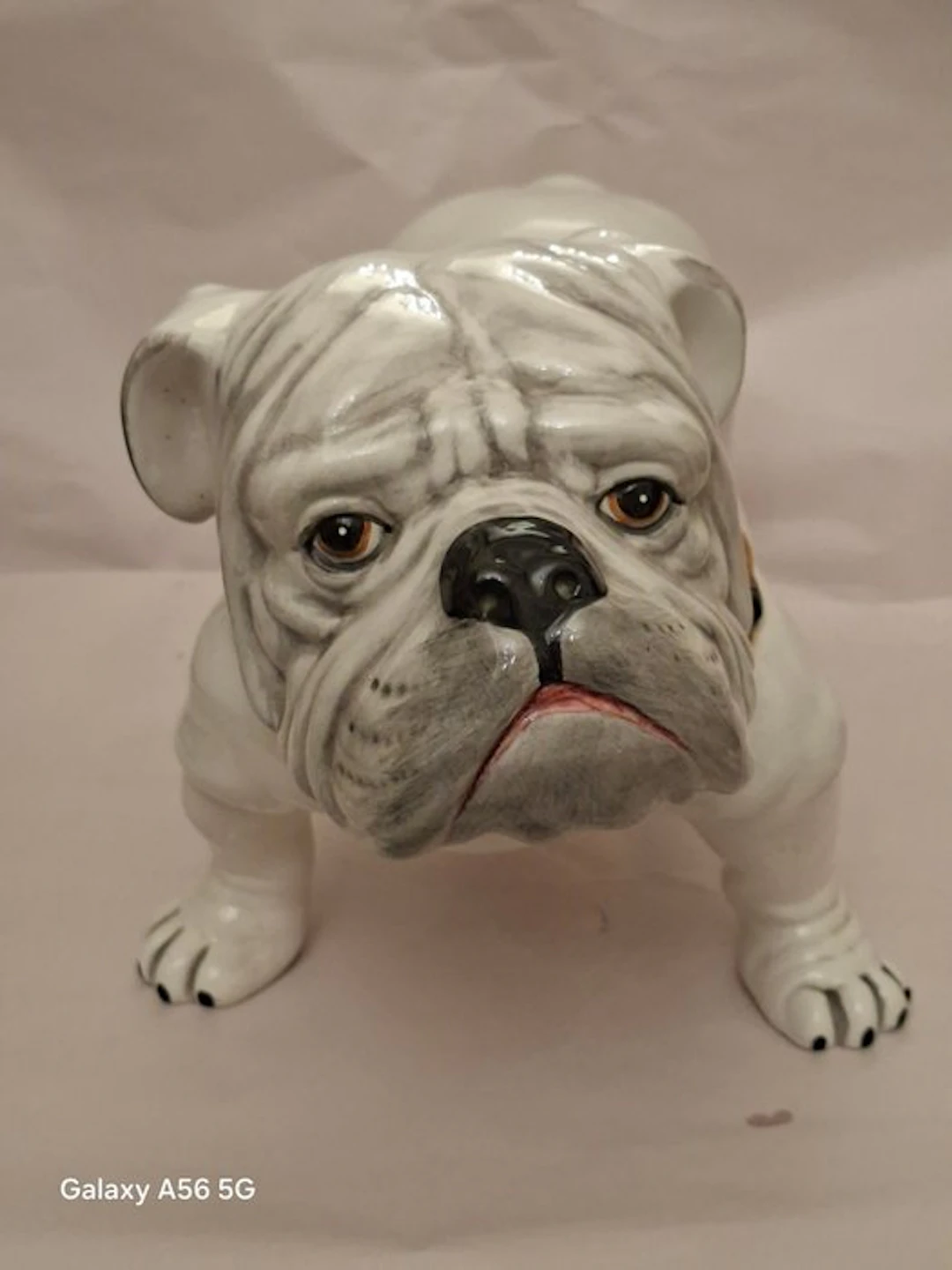Ceramica San Marino ( C.S.M.) - Figure - Bulldog Inglese - Ceramic