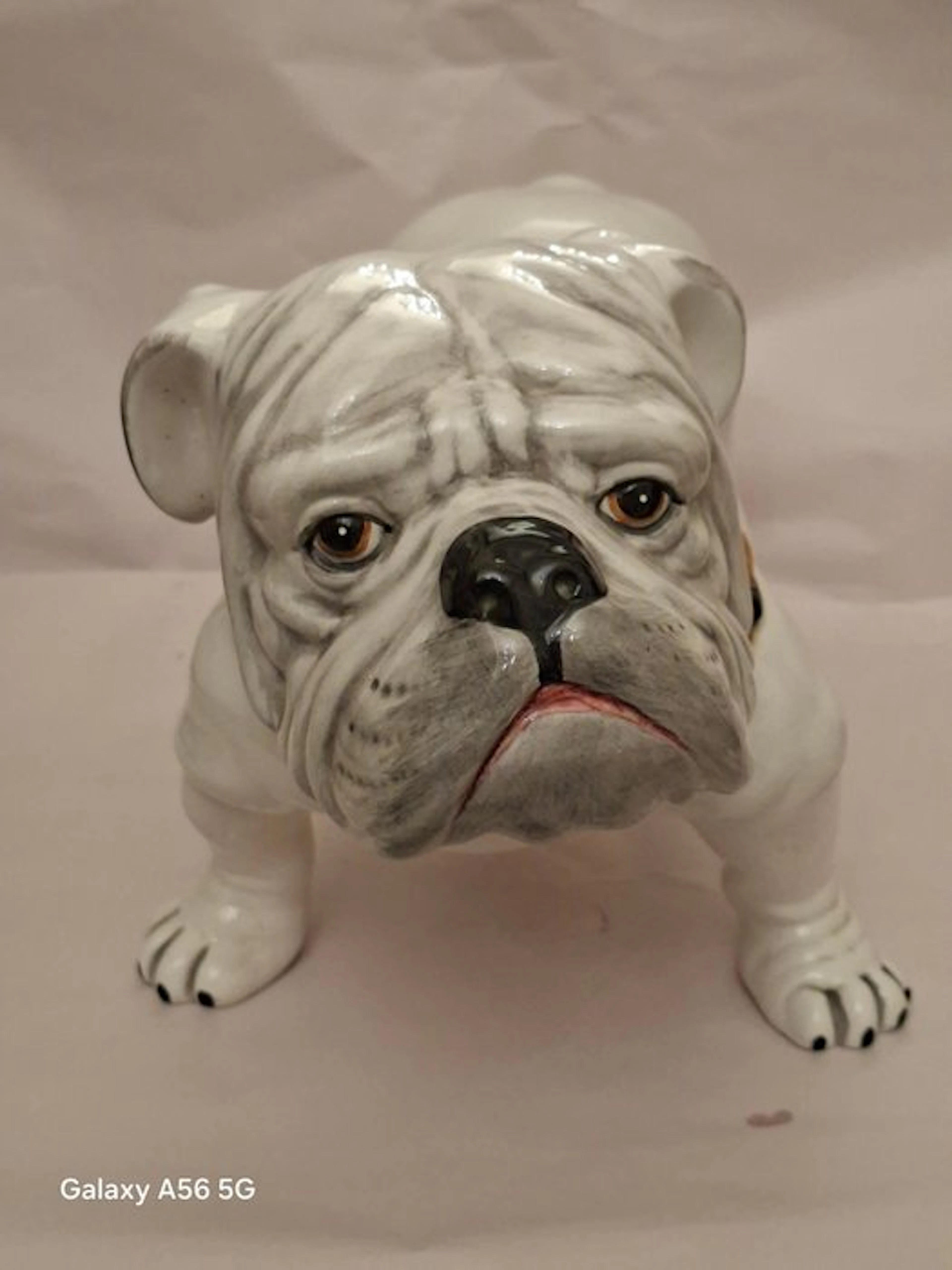 Ceramica San Marino ( C.S.M.) - Figure - Bulldog Inglese - Ceramic