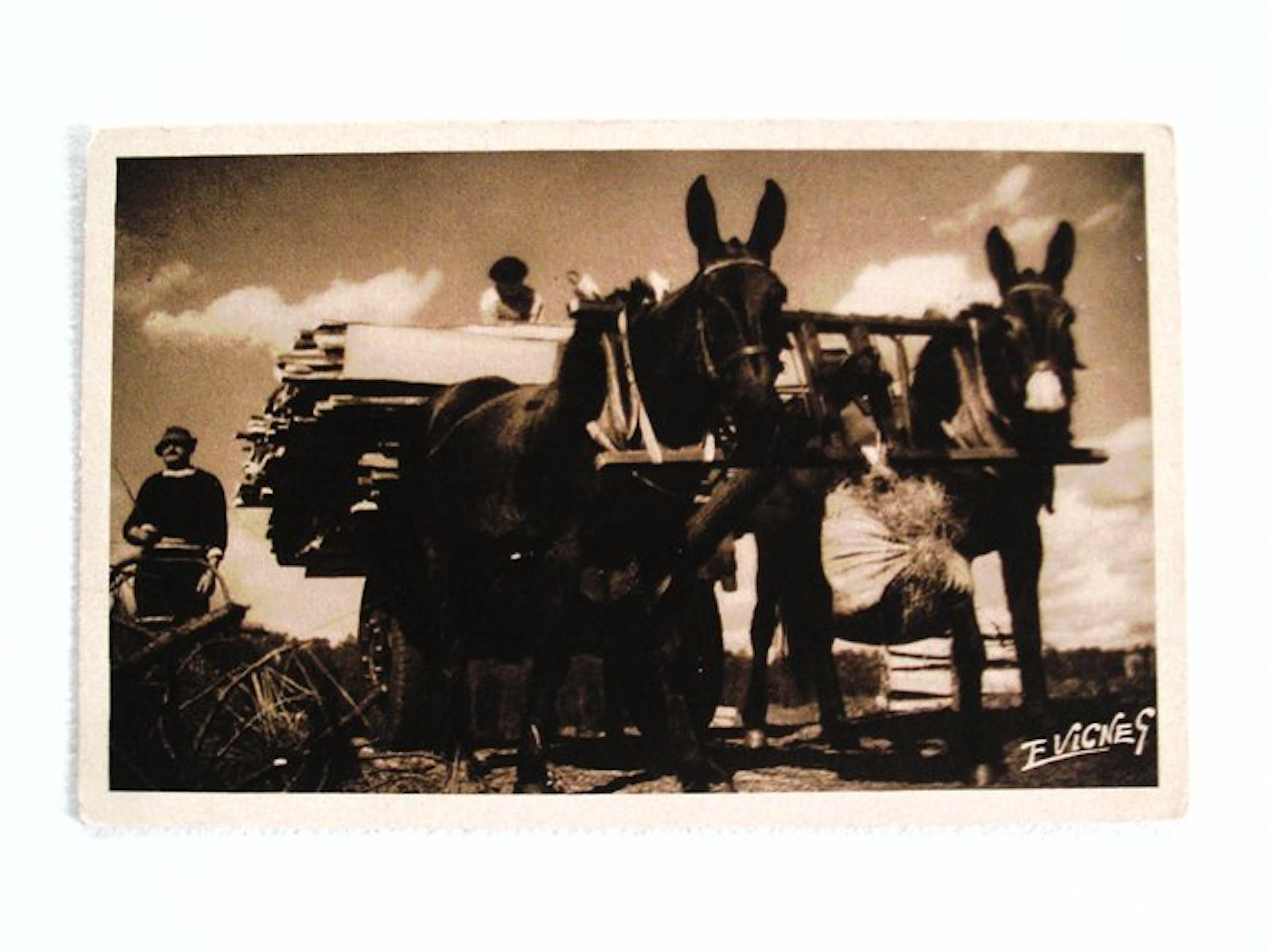 France - The Harnesses - Postcard (82) - 1900-1930
