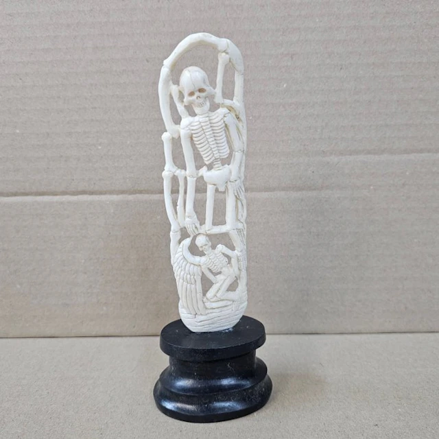 Cow Bone - Bos primigenius taurus - 18 cm - 6 cm - 1 cm - (1)