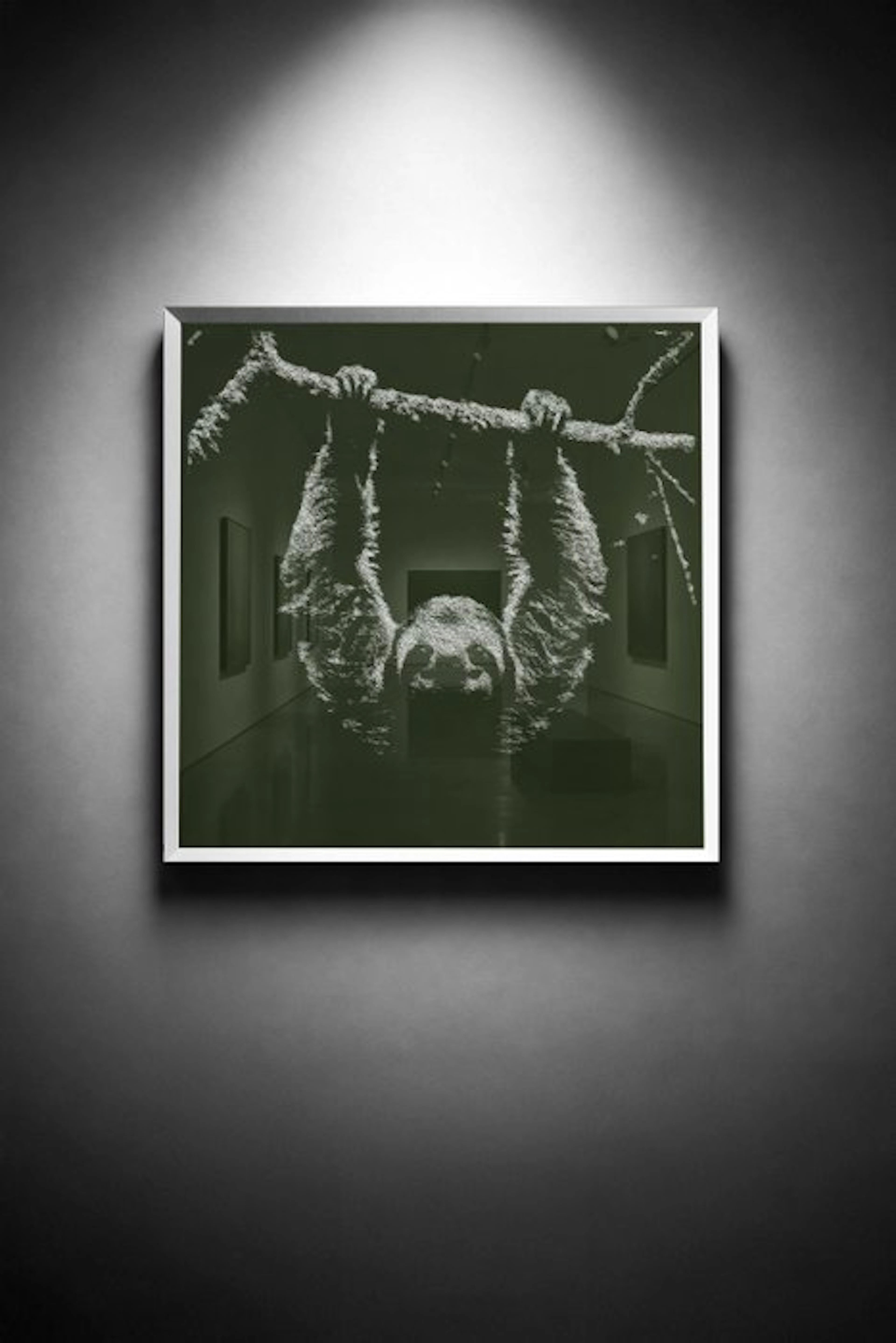 Tijs Dragtsma (1992) - An Inverted Hush