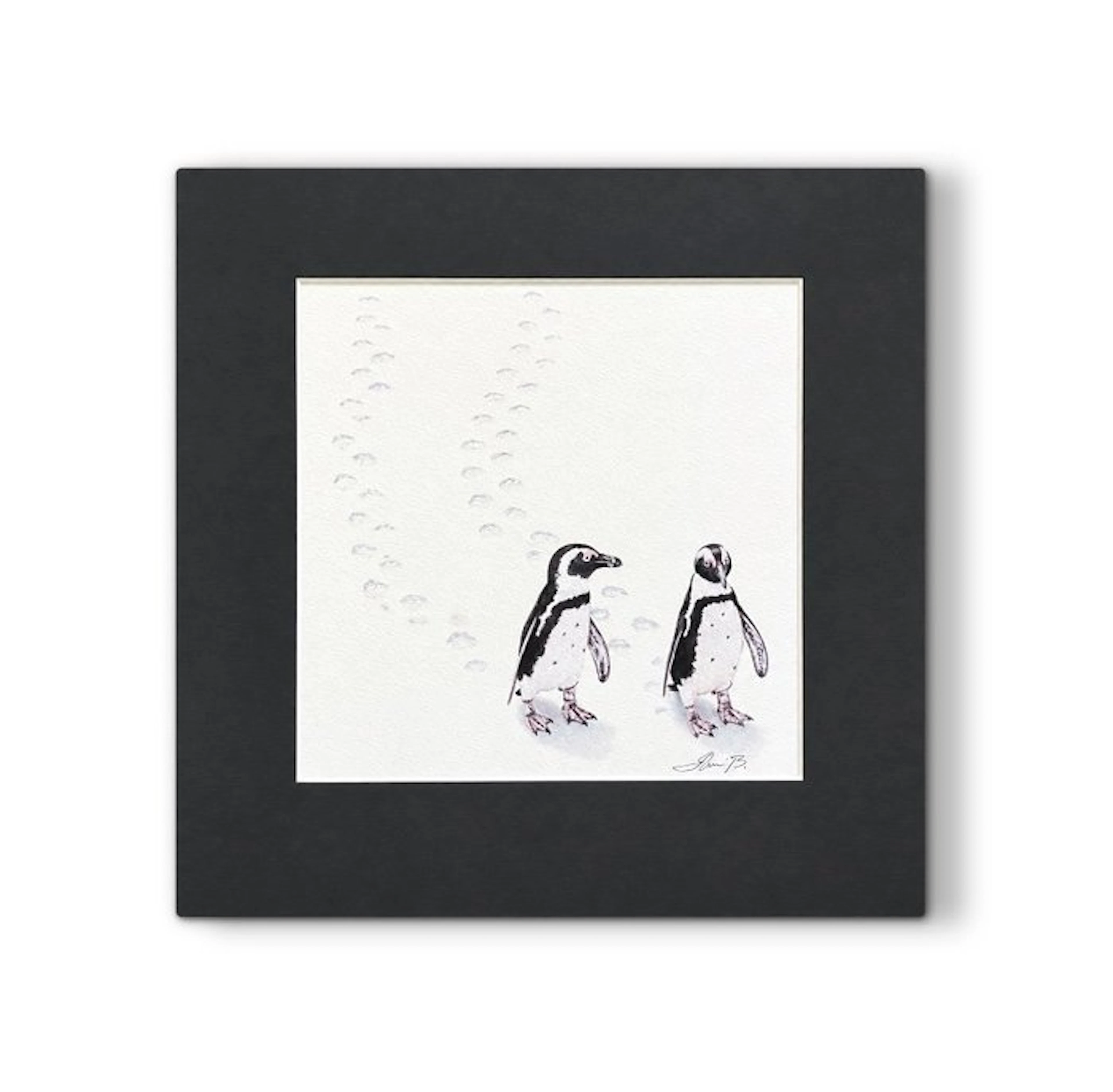 AniB. - Follow the PENGUINS