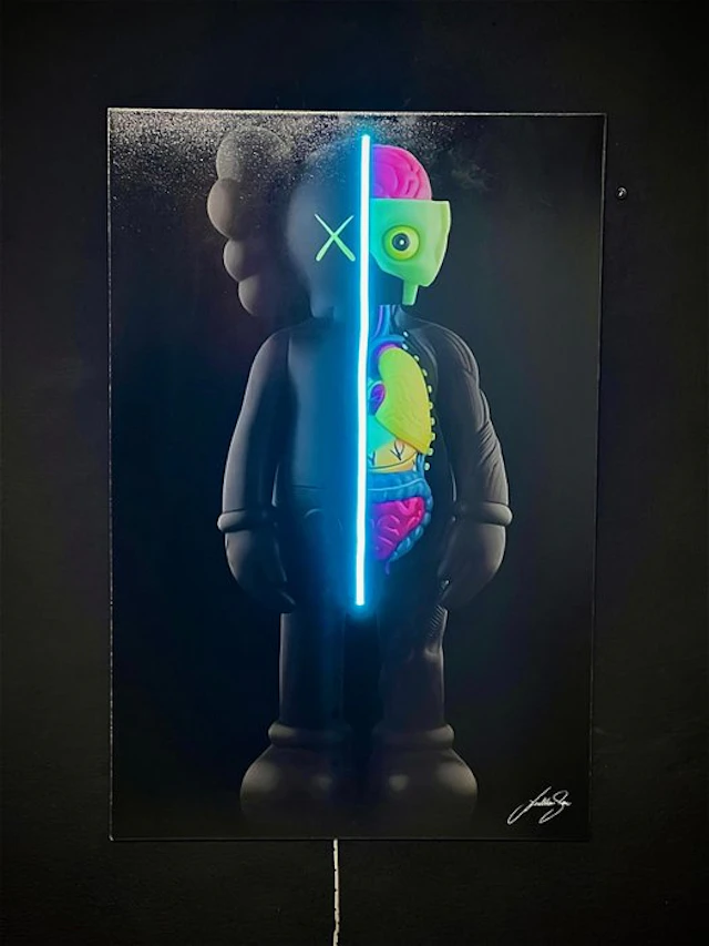 LEDMansion - Dissected Led Wall Art 50x75cm