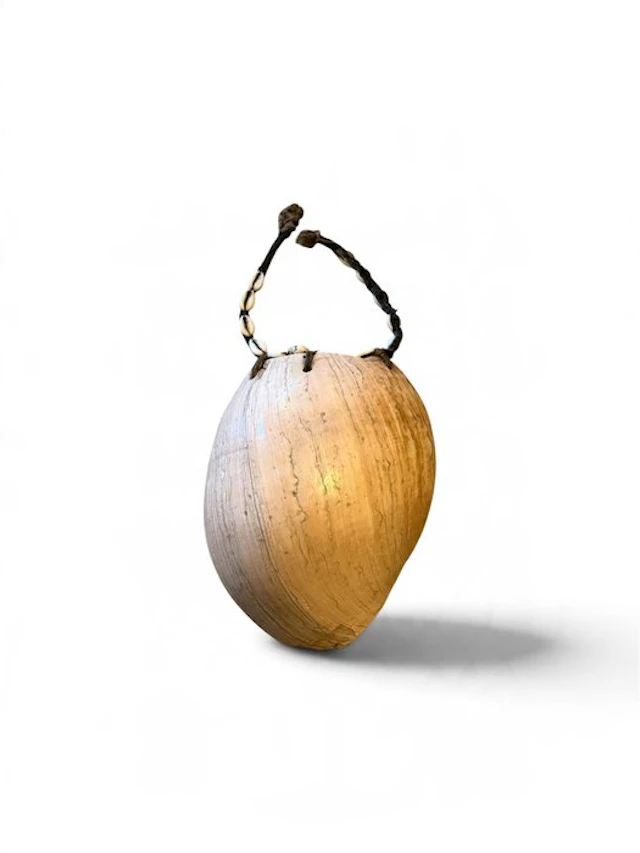 Bailer shell