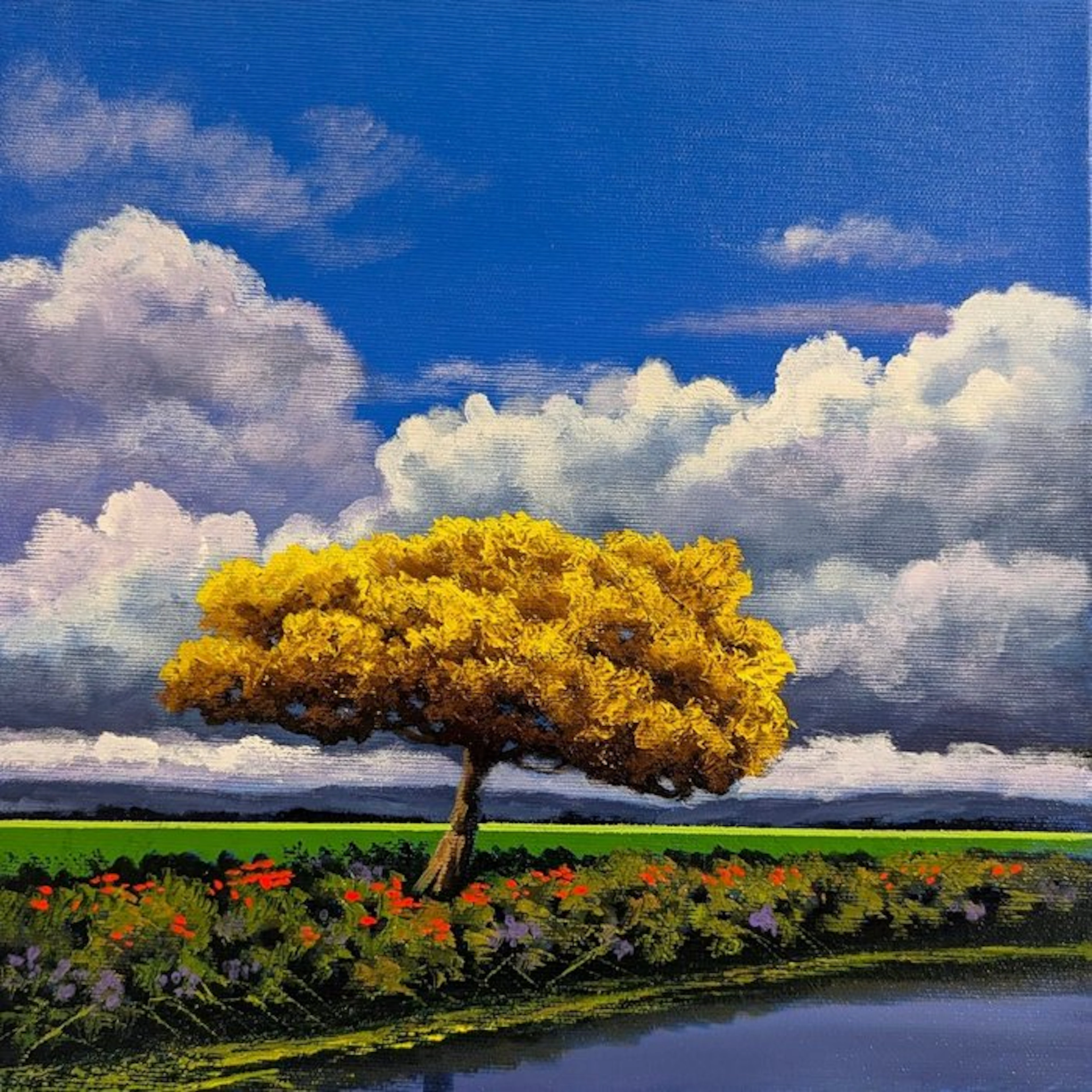 Toni Cimino (1962) - Prime fioriture