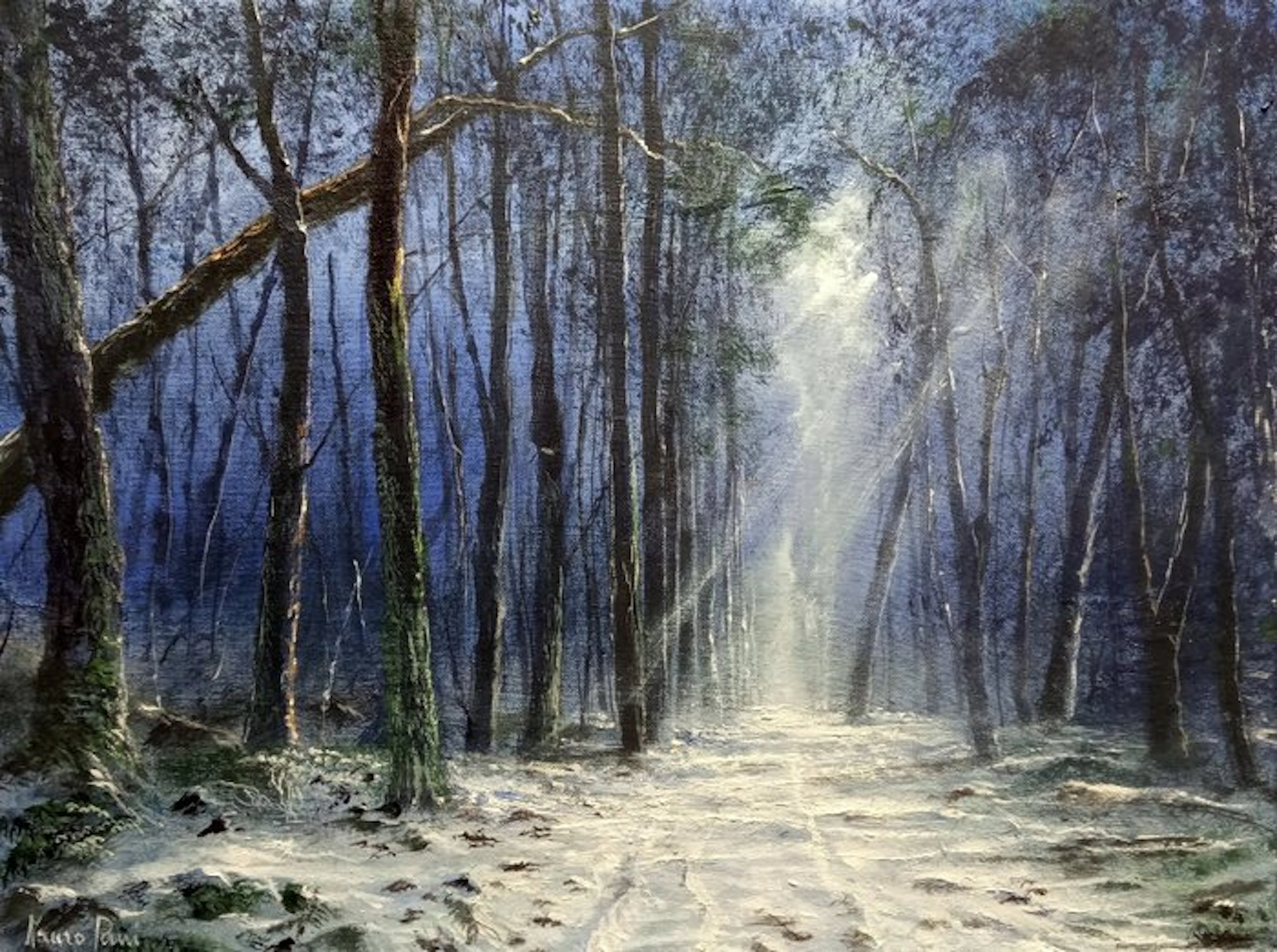 Mauro Pani (1957) - Nostalgia del bianco