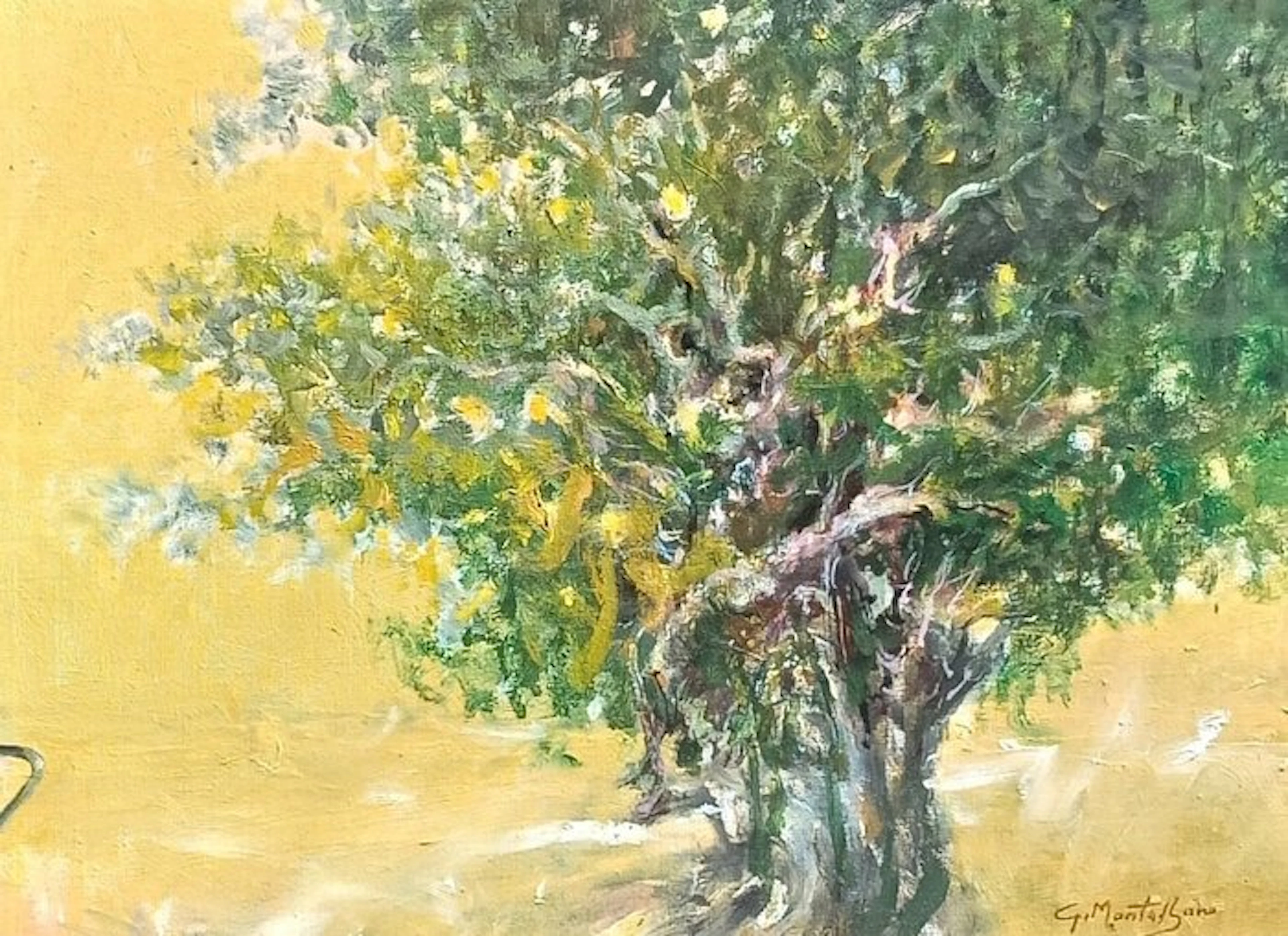 Giuseppe Montalbano (1940-2013) - Ulivo