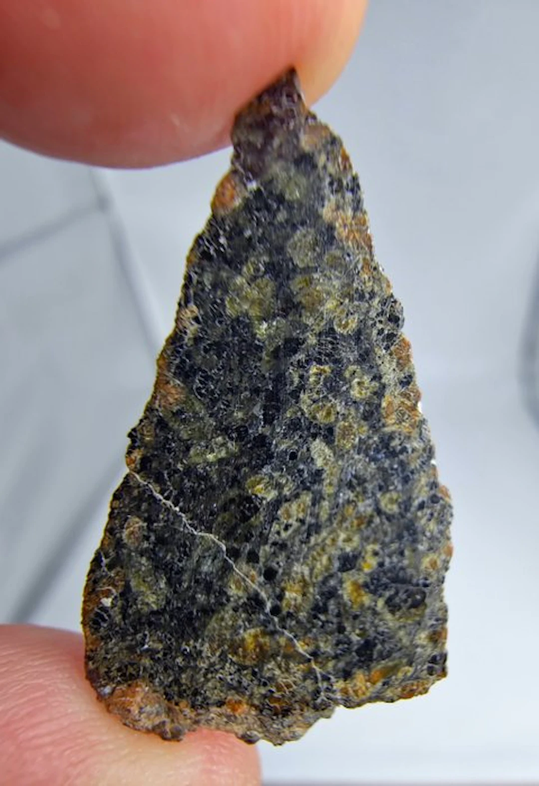 Martian (olivine-bearing shergottite) NEA 145 - 1.24 g