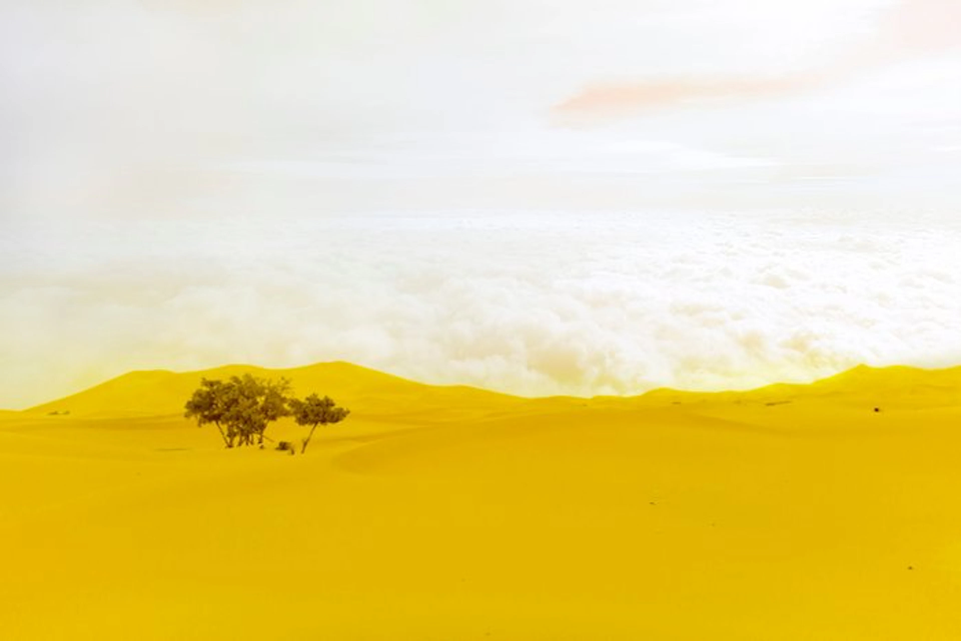 Viet Ha Tran - Clouds on the Sahara