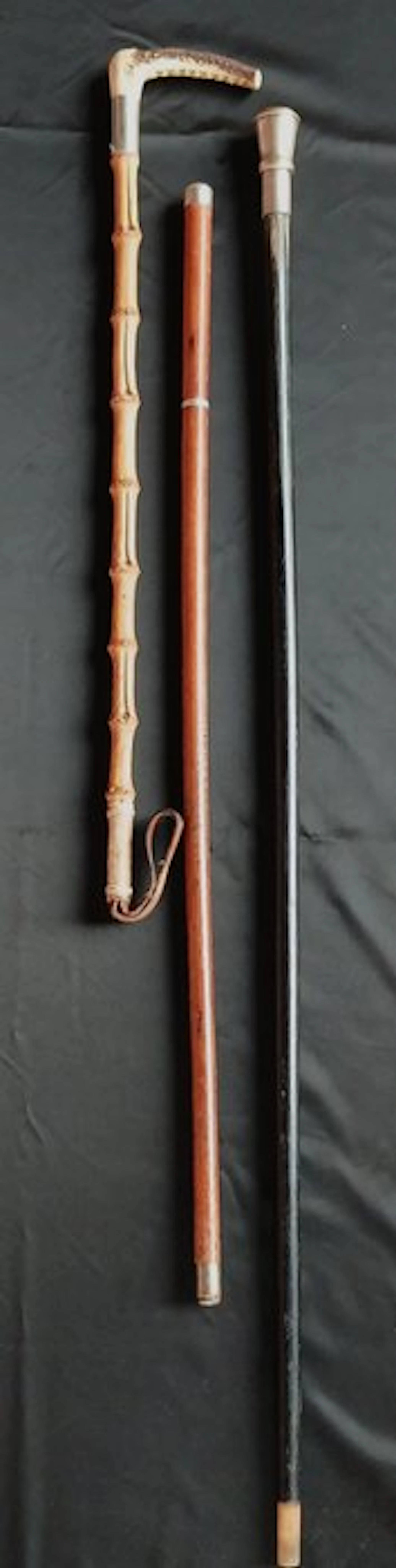 Walking stick (3) - Wood