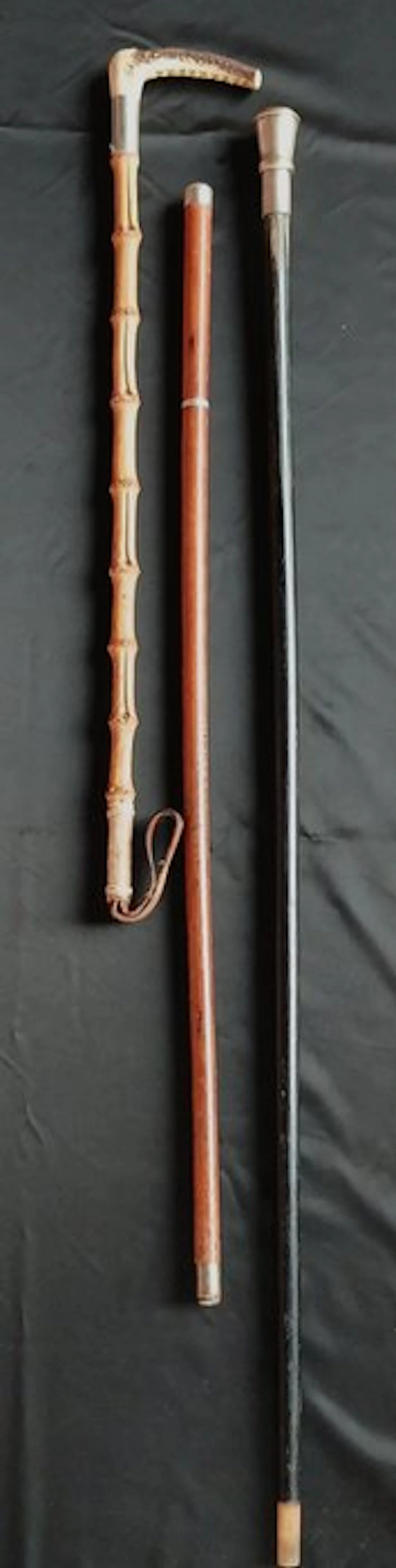 Walking stick (3) - Wood