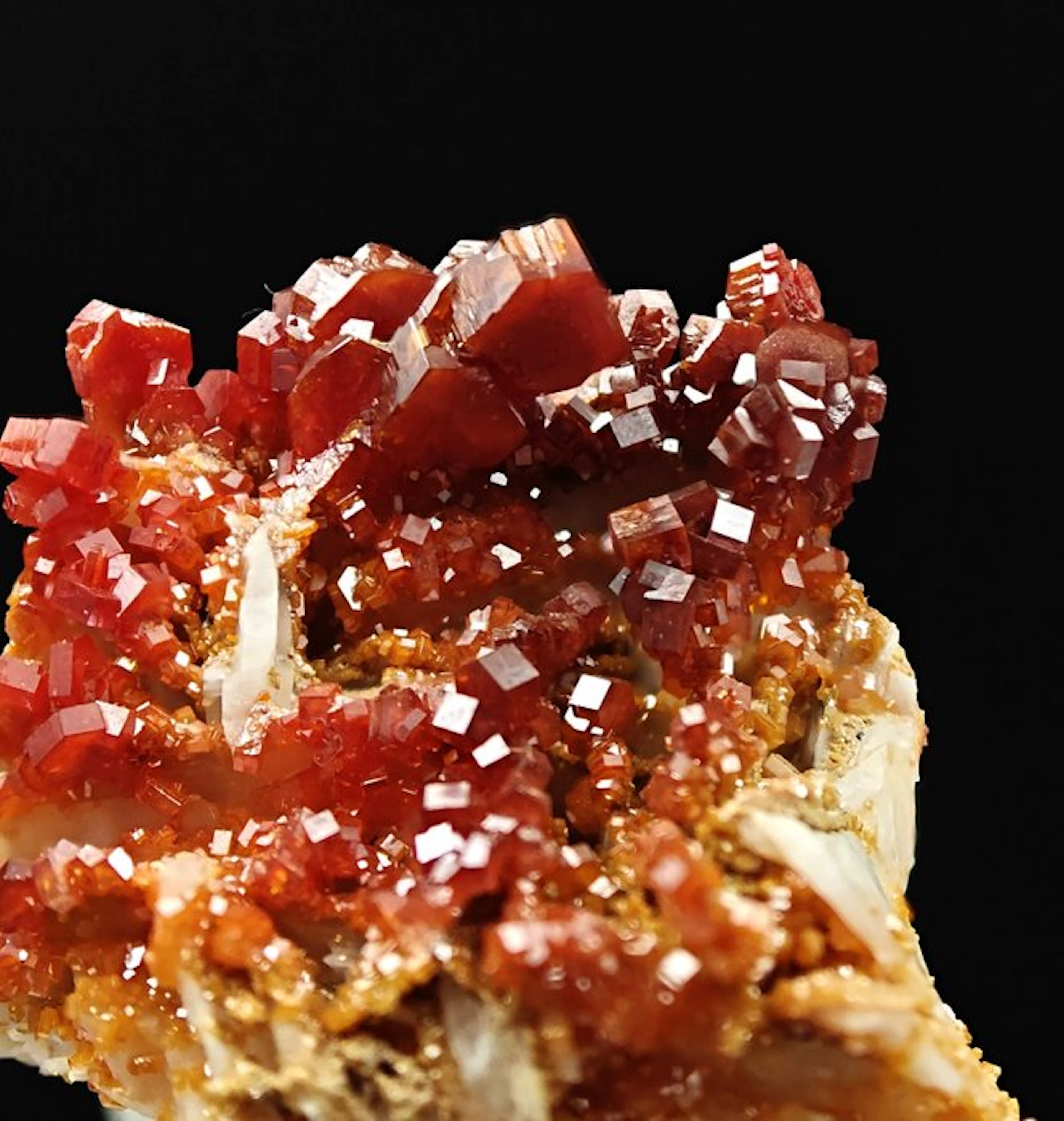 Blood-red vanadinite on white barite Crystals on matrix...